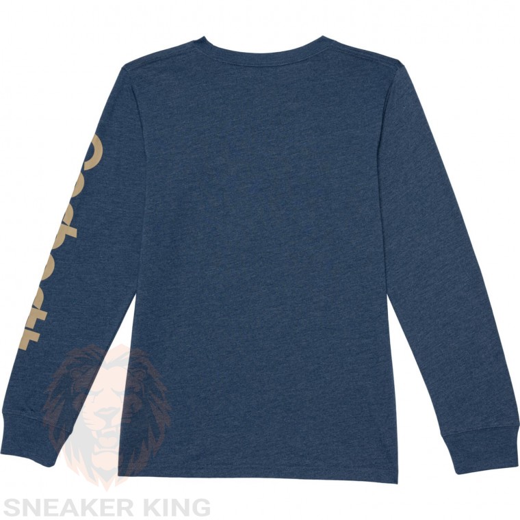 Лонгслів Carhartt Mountainscape T-Shirt longsleeve  CA6601-N160H